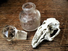 bottle, stopper and bird skull